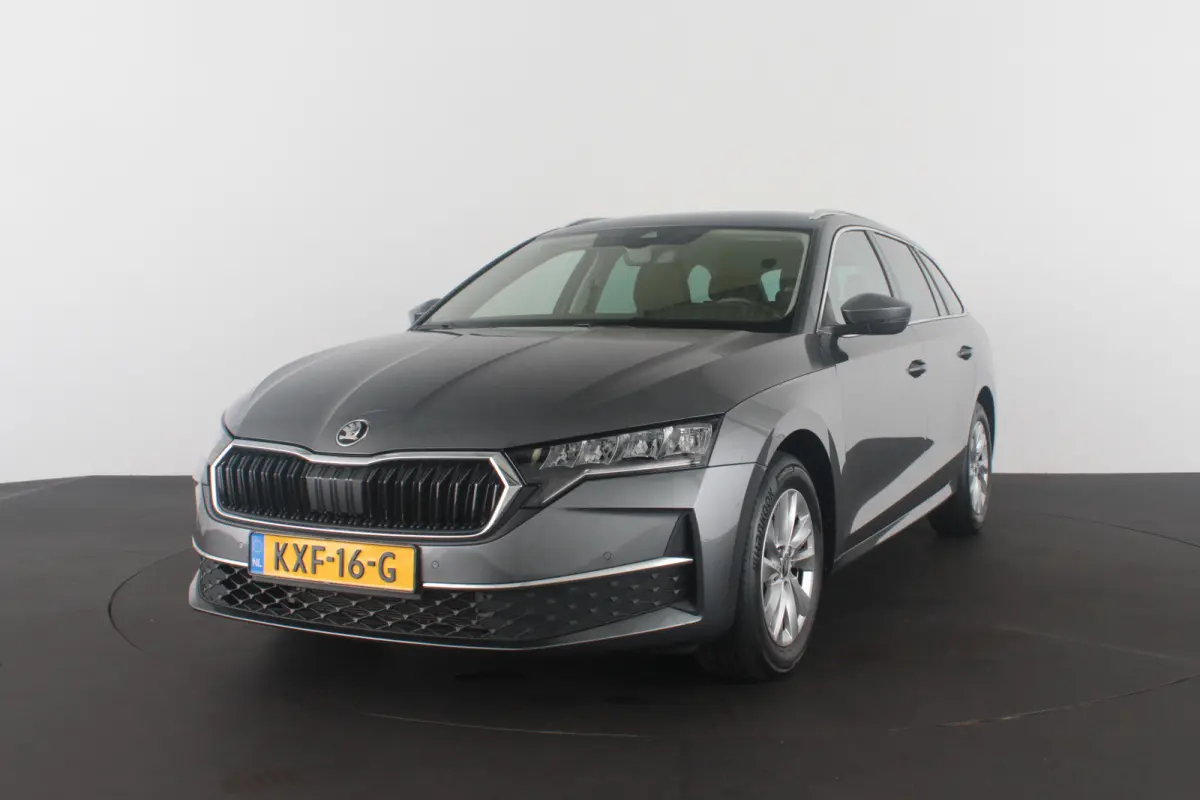 1.5 TSI Business Edition > Camera/Trekhaak/Winterpakket/ Graphite Grey
