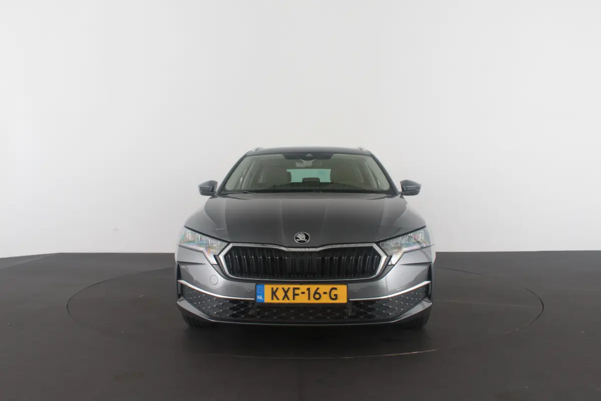 1.5 TSI Business Edition > Camera/Trekhaak/Winterpakket/ Graphite Grey