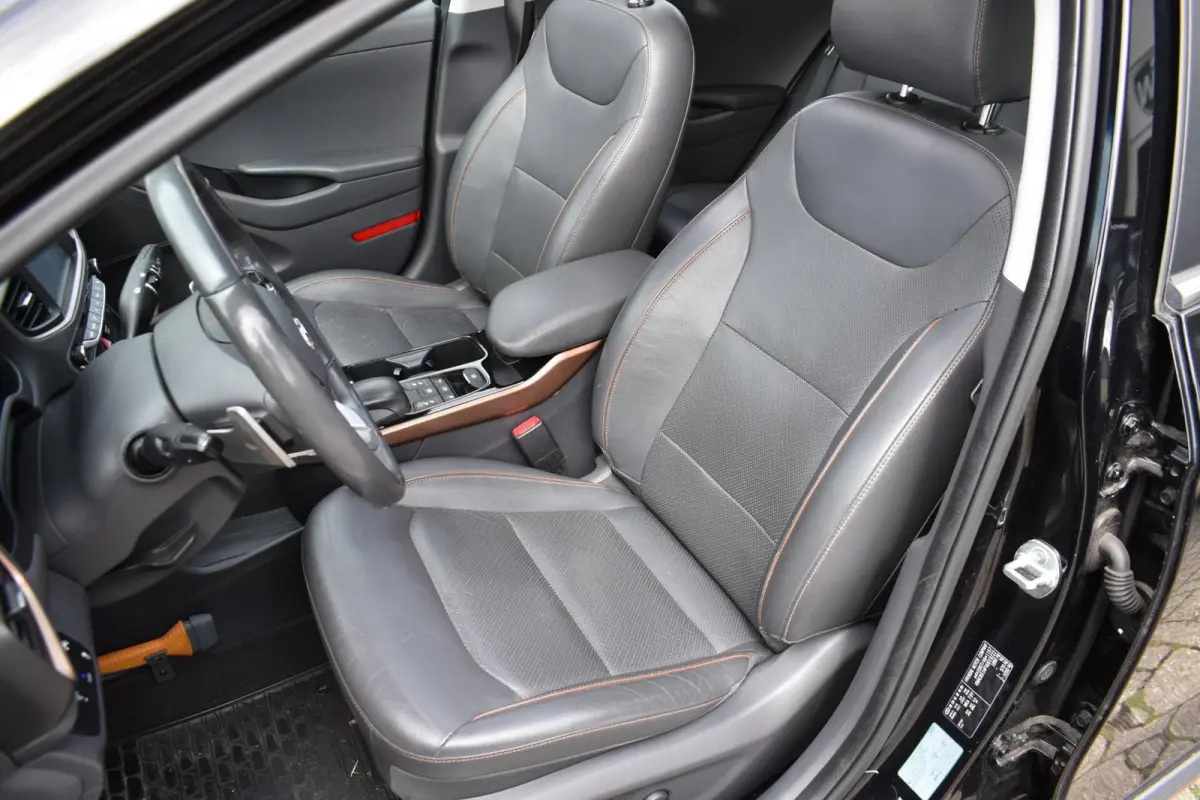 Premium EV | 100% SoH | Schuifdak | Leder | Memory | Infinity |