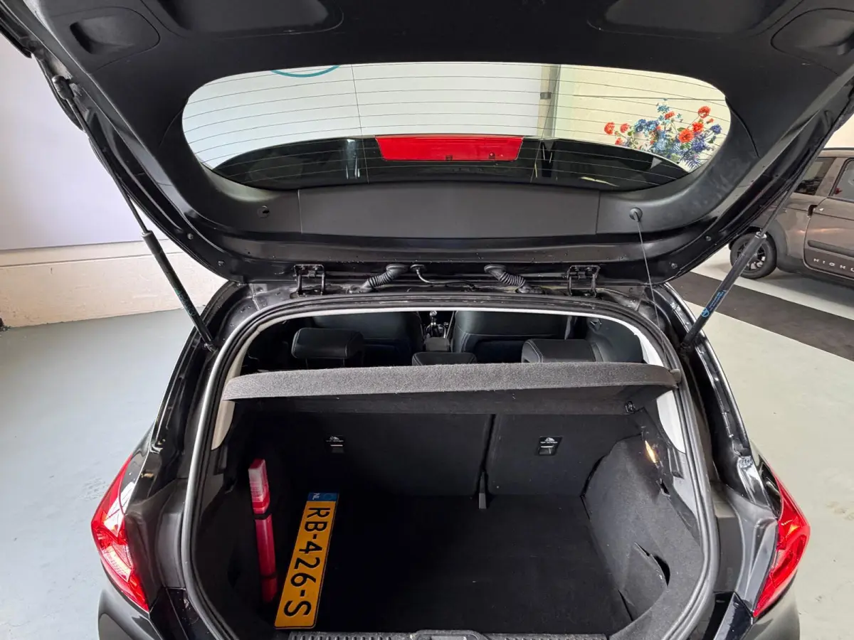 1.0 EcoBoost Titanium Camera, Navi, Airco, Cruise Control, Carplay
