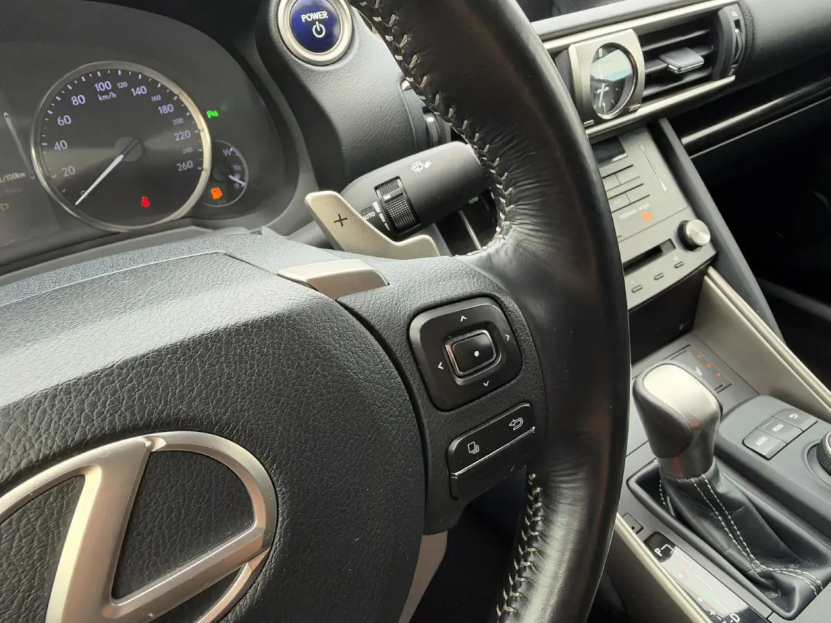 300h Hybrid Business Line