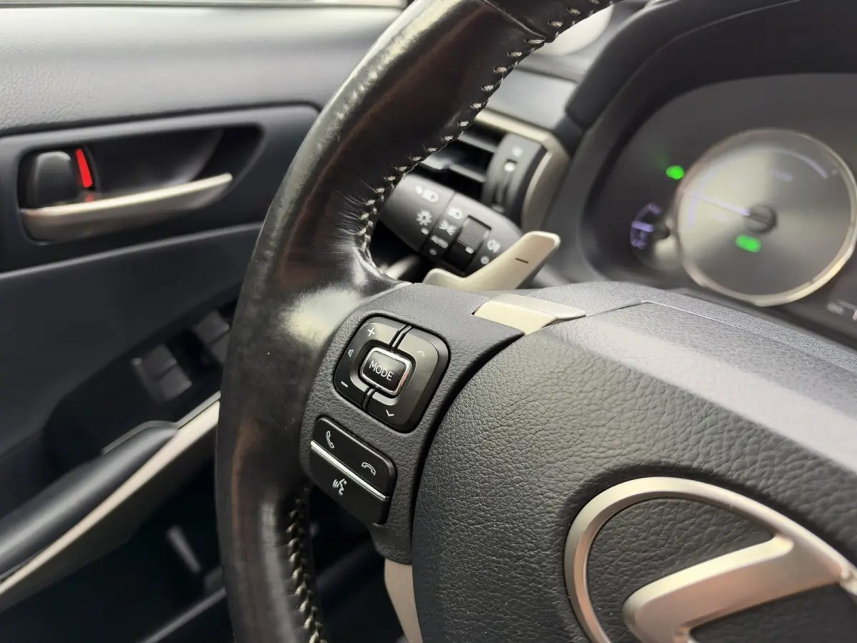300h Hybrid Business Line