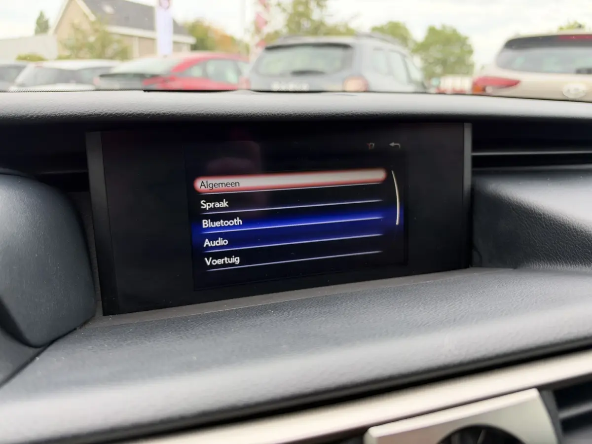 300h Hybrid Business Line