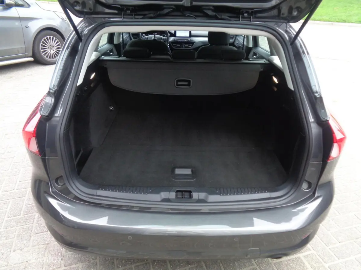 1.0 EcoBoost Trend Edition/LED/PDC/Apple Carplay/Android auto/Airco/Lm look/Nieuwstaat