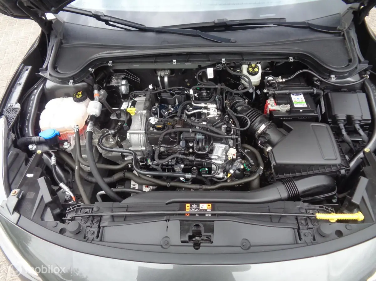 1.0 EcoBoost Trend Edition/LED/PDC/Apple Carplay/Android auto/Airco/Lm look/Nieuwstaat