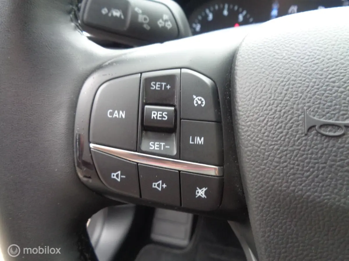1.0 EcoBoost Trend Edition/LED/PDC/Apple Carplay/Android auto/Airco/Lm look/Nieuwstaat