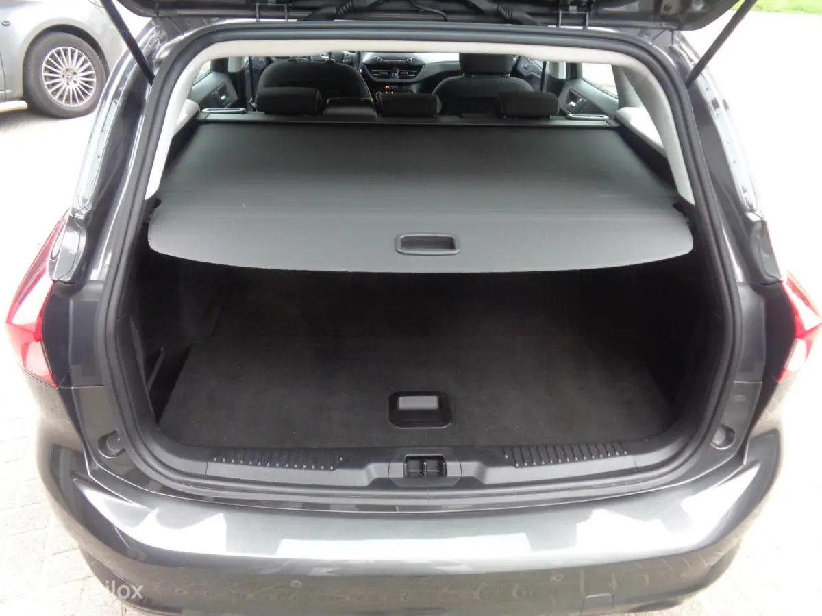 1.0 EcoBoost Trend Edition/LED/PDC/Apple Carplay/Android auto/Airco/Lm look/Nieuwstaat