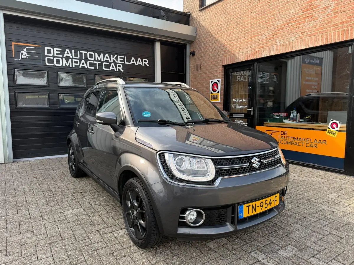 1.2 Stijl Smart Hybrid | 1E EIGENAAR | CAMERA | CARPLAY | CLIMATE | CRUISE | LMV |