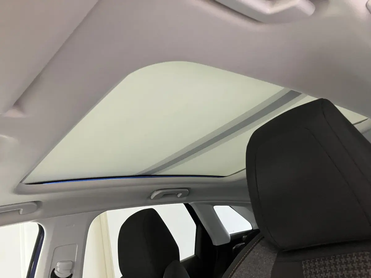 1.2 PureTech Blue Lease Executive