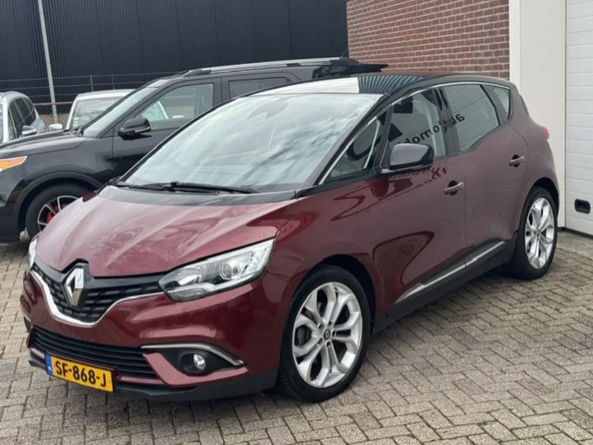 1.3 TCe Zen - Trekhaak - Dealer Onderhouden - 1e eigenaar - LED - NAP