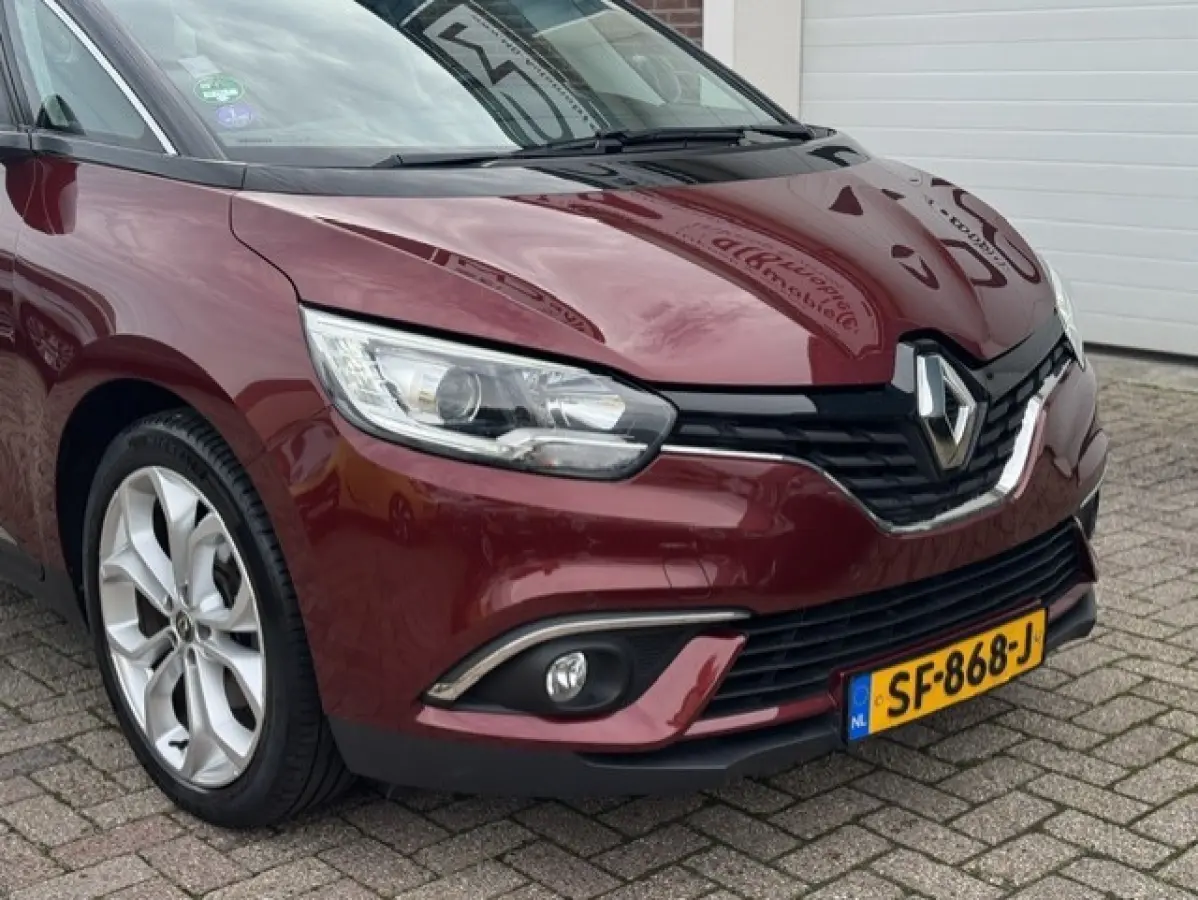 1.3 TCe Zen - Trekhaak - Dealer Onderhouden - 1e eigenaar - LED - NAP