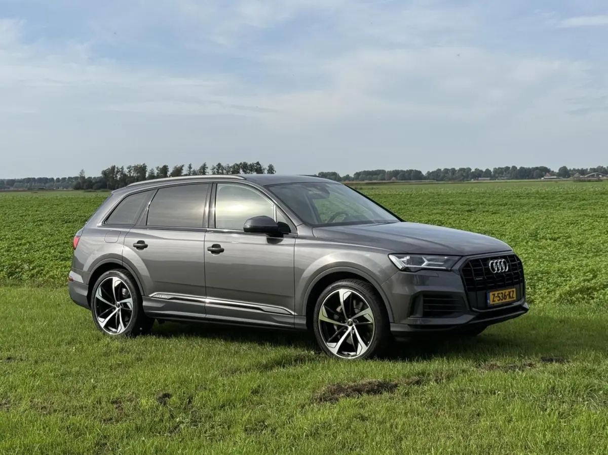 55 TFSI e quattro Pro Line S