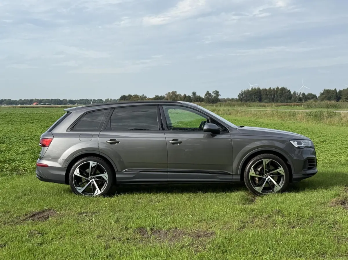 55 TFSI e quattro Pro Line S