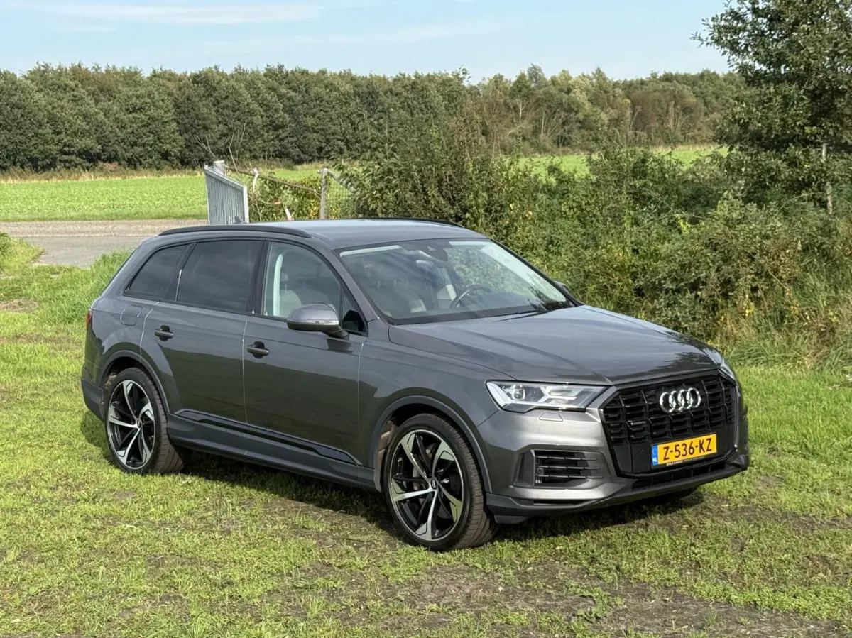 55 TFSI e quattro Pro Line S