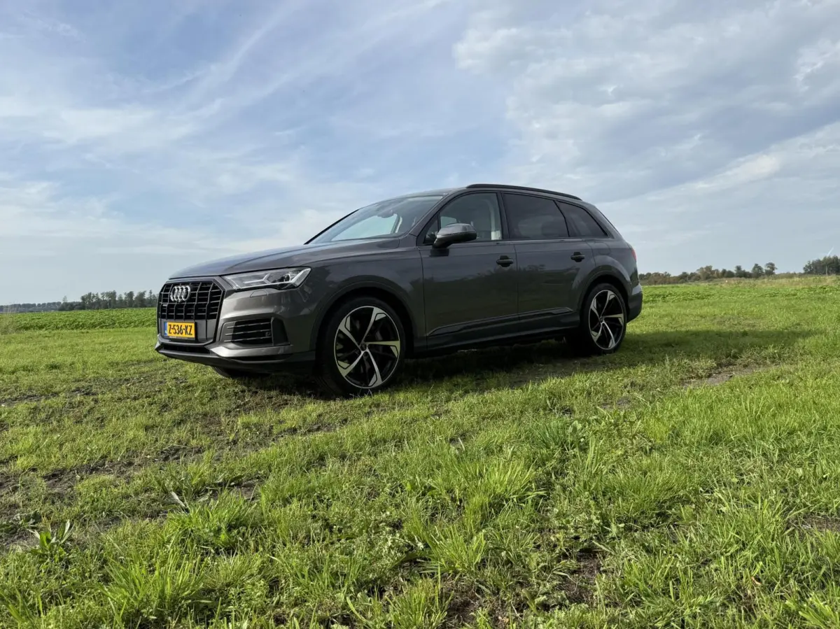 55 TFSI e quattro Pro Line S