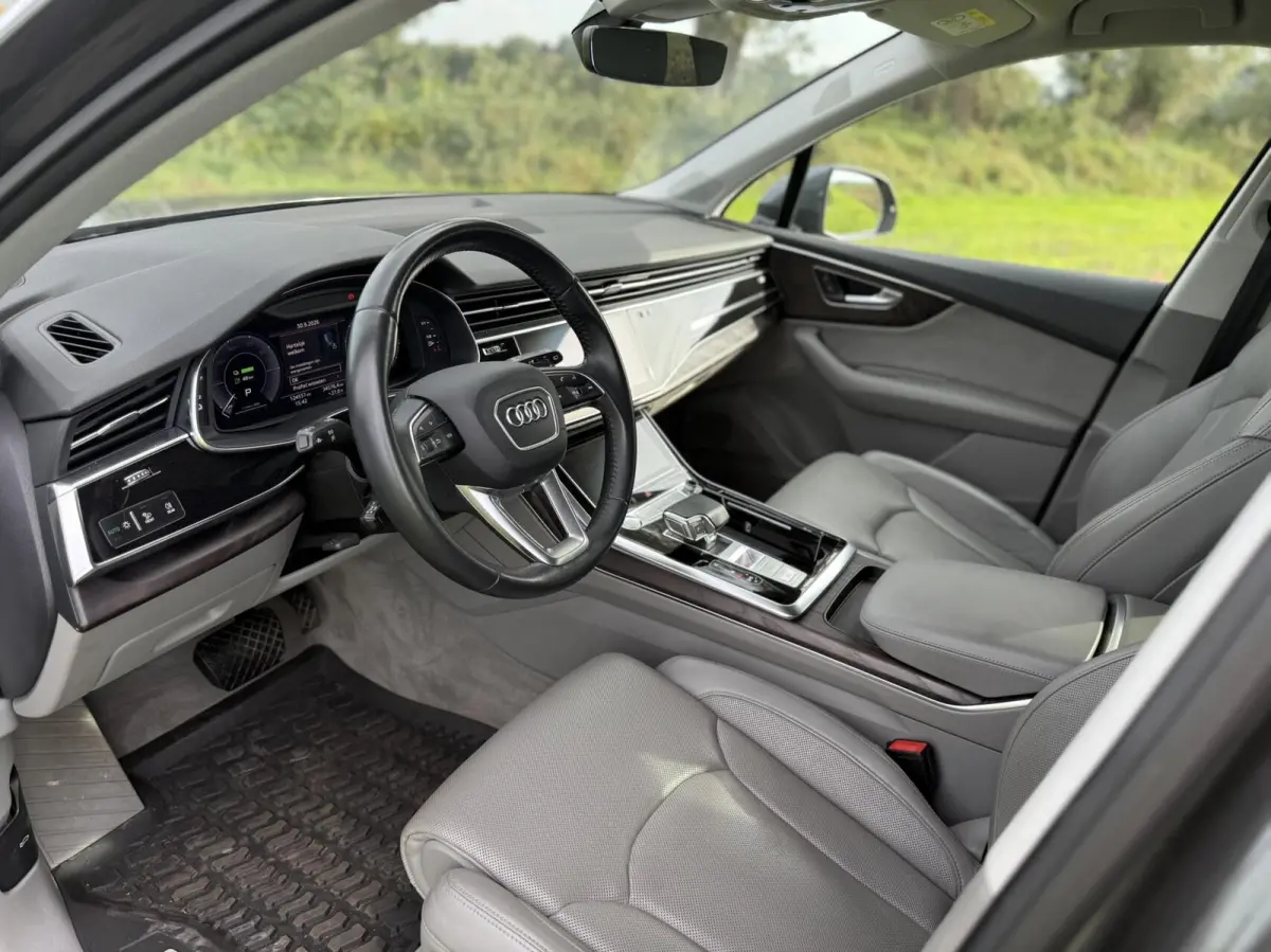 55 TFSI e quattro Pro Line S