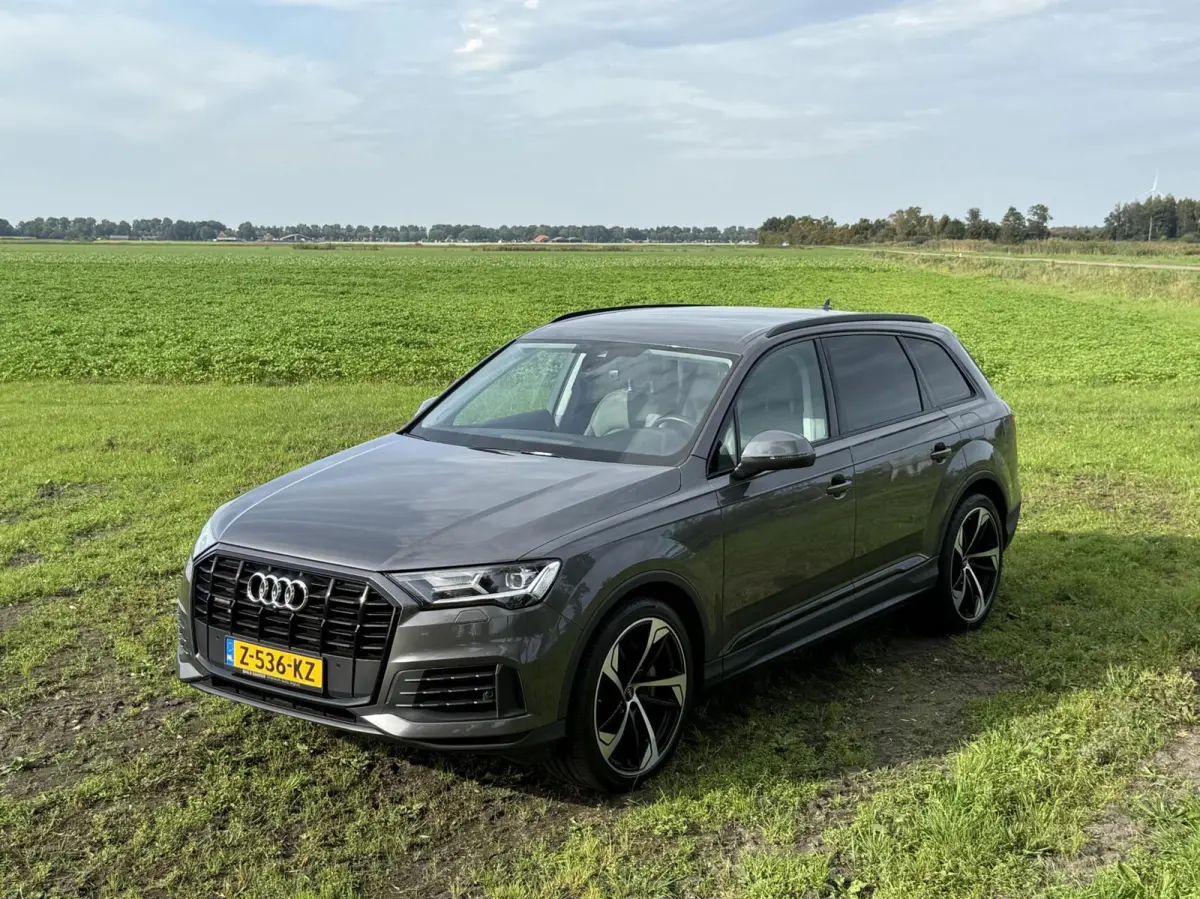 55 TFSI e quattro Pro Line S