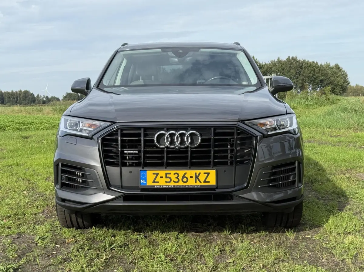 55 TFSI e quattro Pro Line S