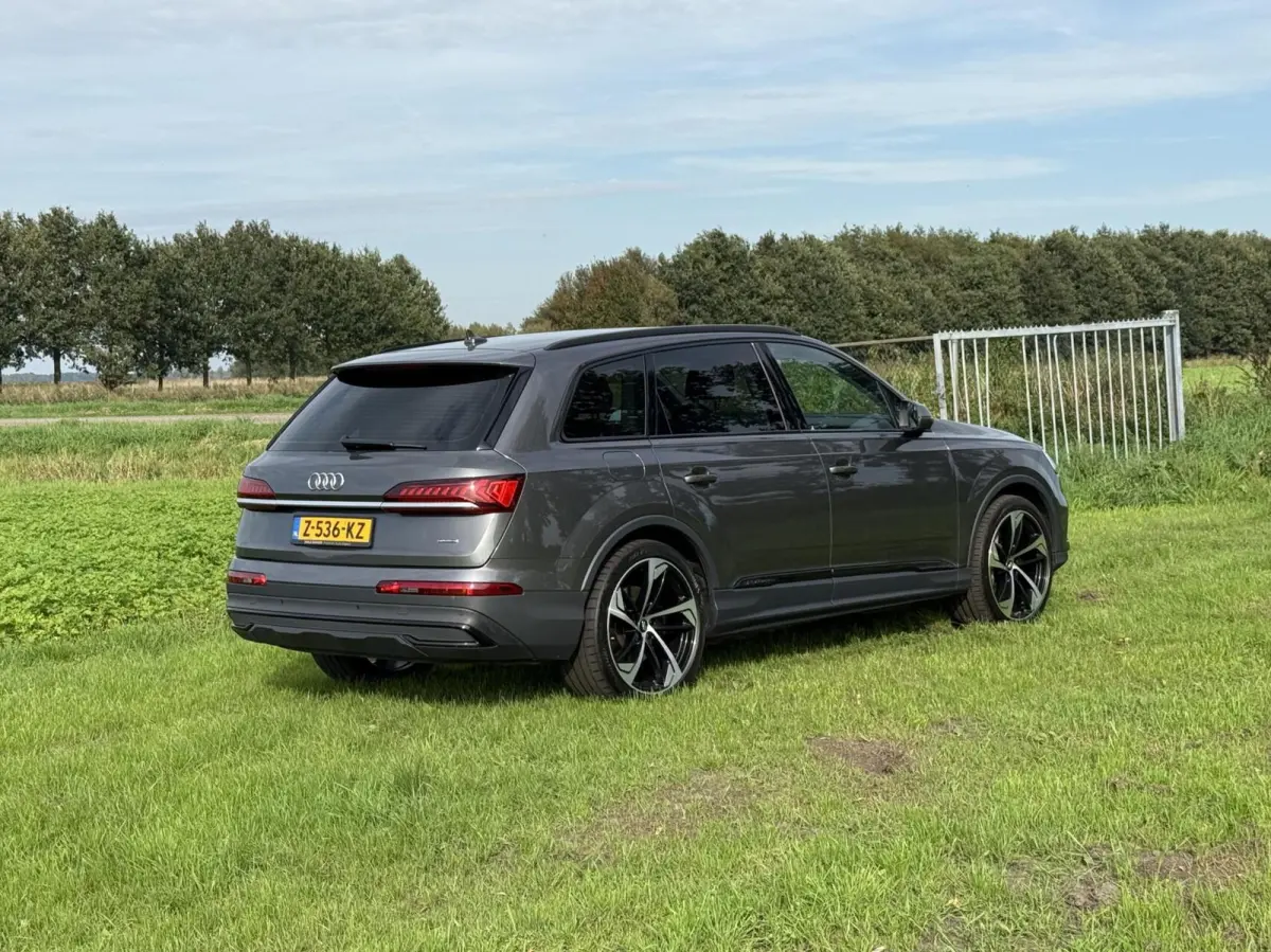 55 TFSI e quattro Pro Line S