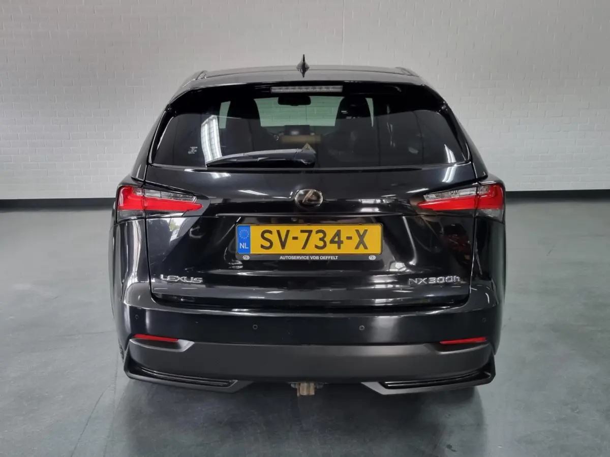 300h AWD F Sport Line / Pano / Trekhaak