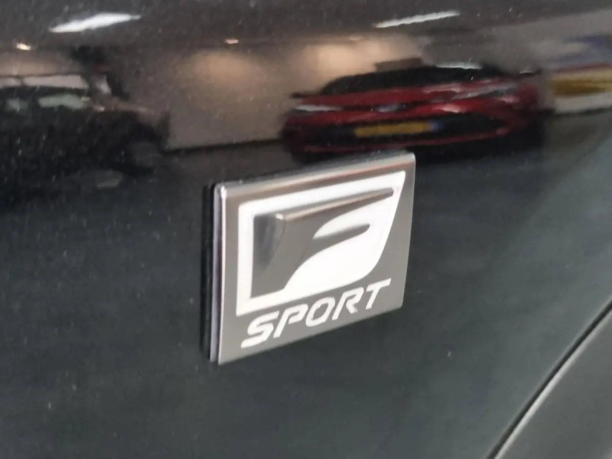 300h AWD F Sport Line / Pano / Trekhaak