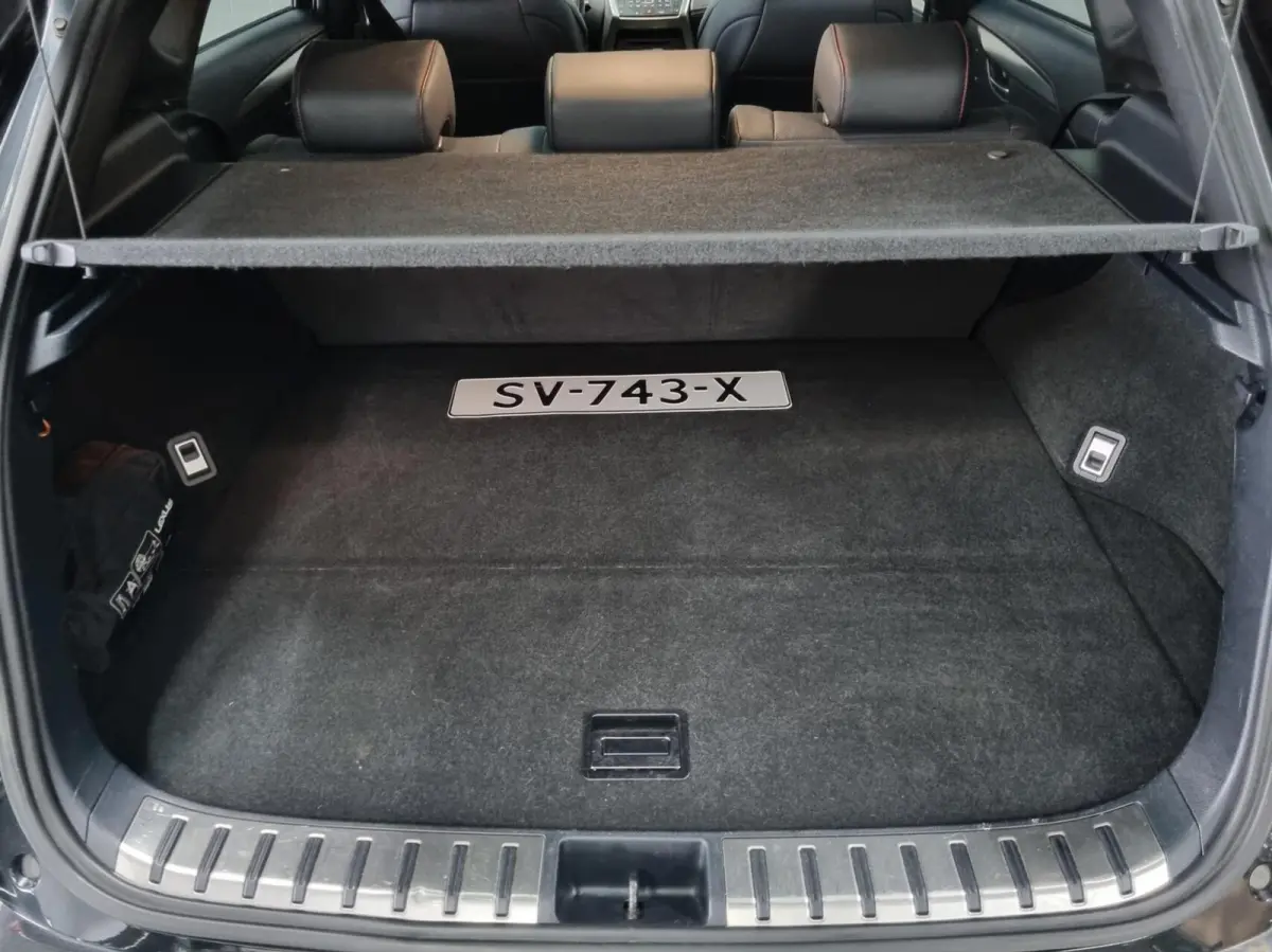 300h AWD F Sport Line / Pano / Trekhaak