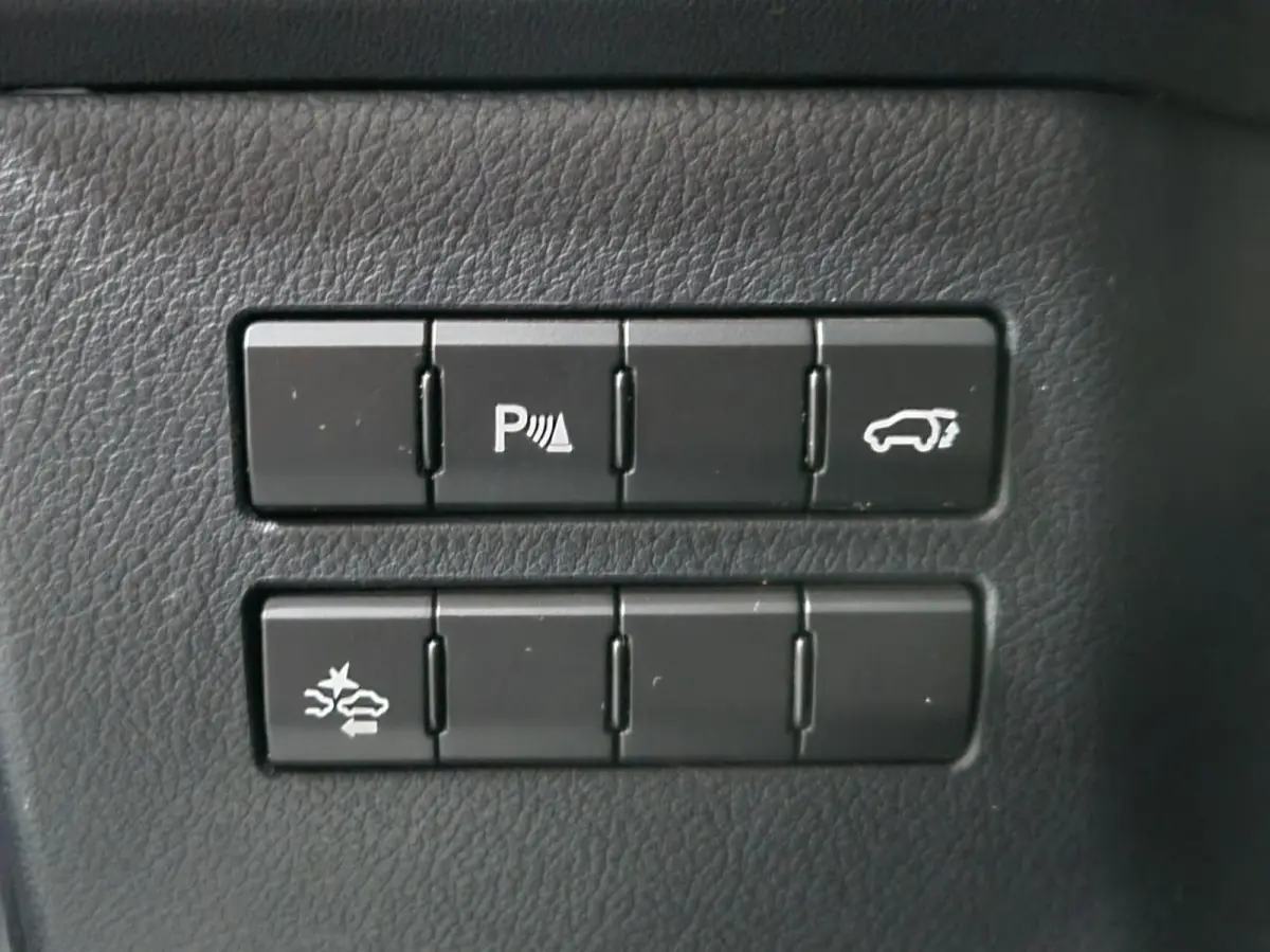 300h AWD F Sport Line / Pano / Trekhaak