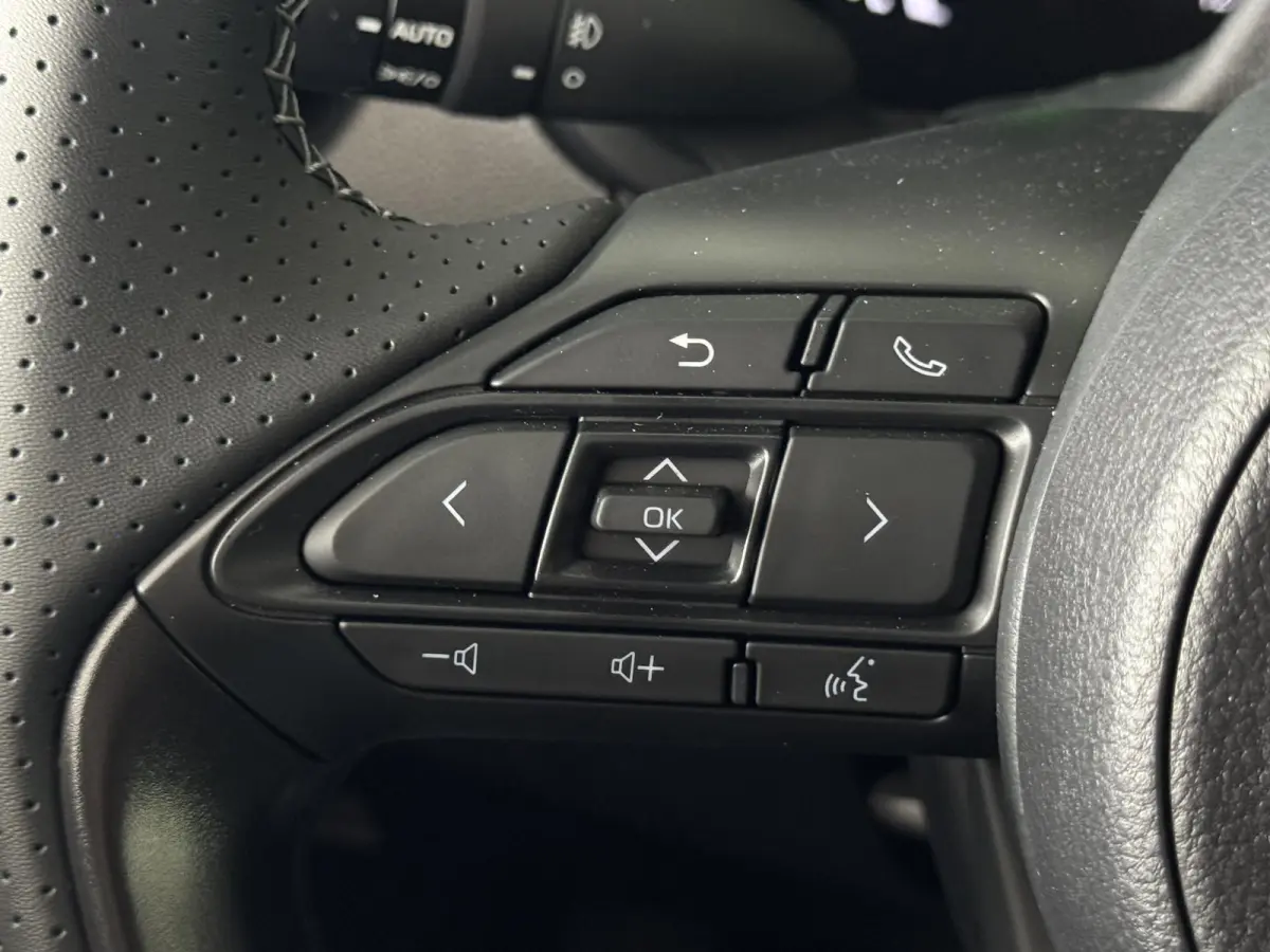 Hybrid 115 GR Sport JBL Audio | Nieuw!!| ACC | Clima | Camera| PDC voor+achter | Stoelverwarming | Carplay | DAB | Lm velgen ( Vestiging - Vianen 0347-371248)
