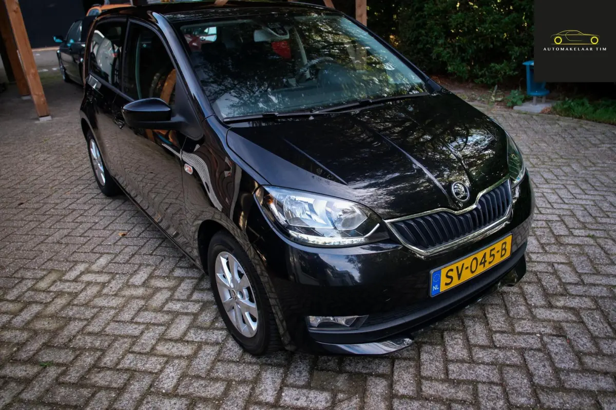 1.0 Greentech Ambition / Cruise / Orig.NL
