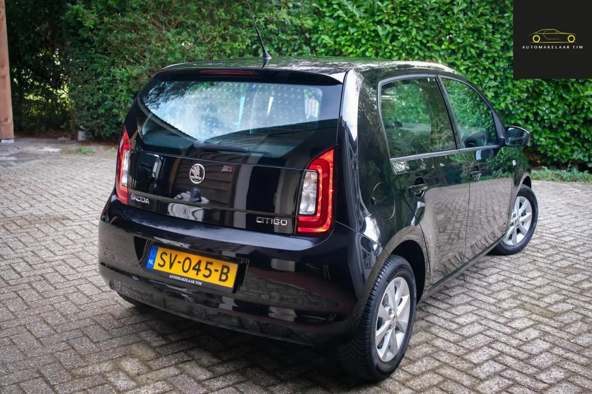 1.0 Greentech Ambition / Cruise / Orig.NL