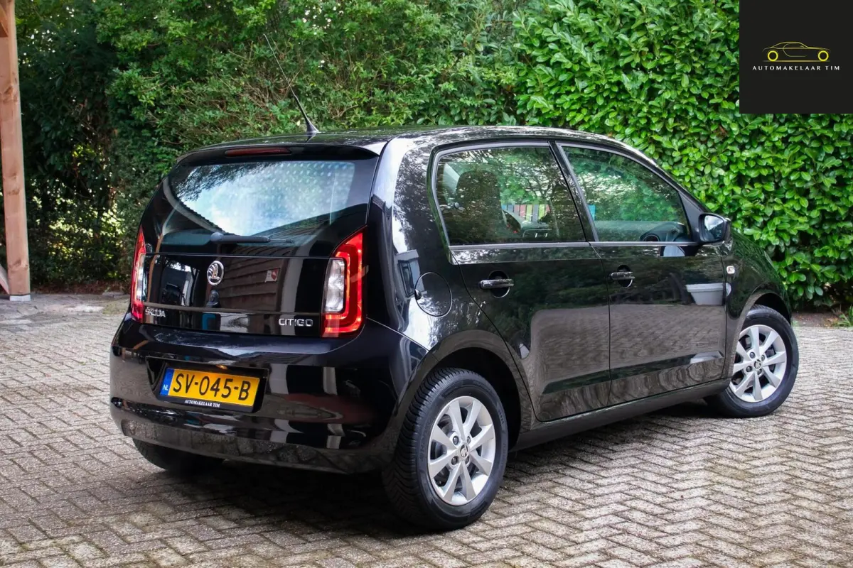1.0 Greentech Ambition / Cruise / Orig.NL