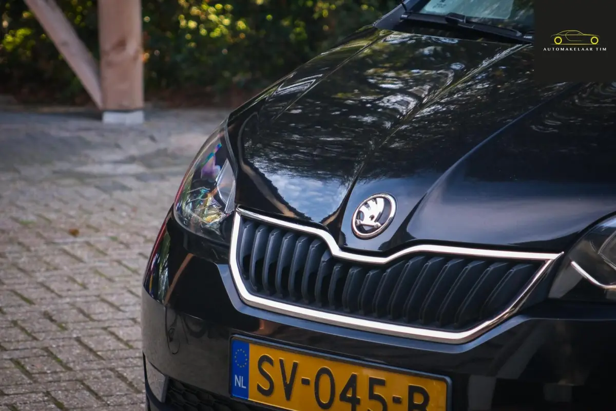 1.0 Greentech Ambition / Cruise / Orig.NL