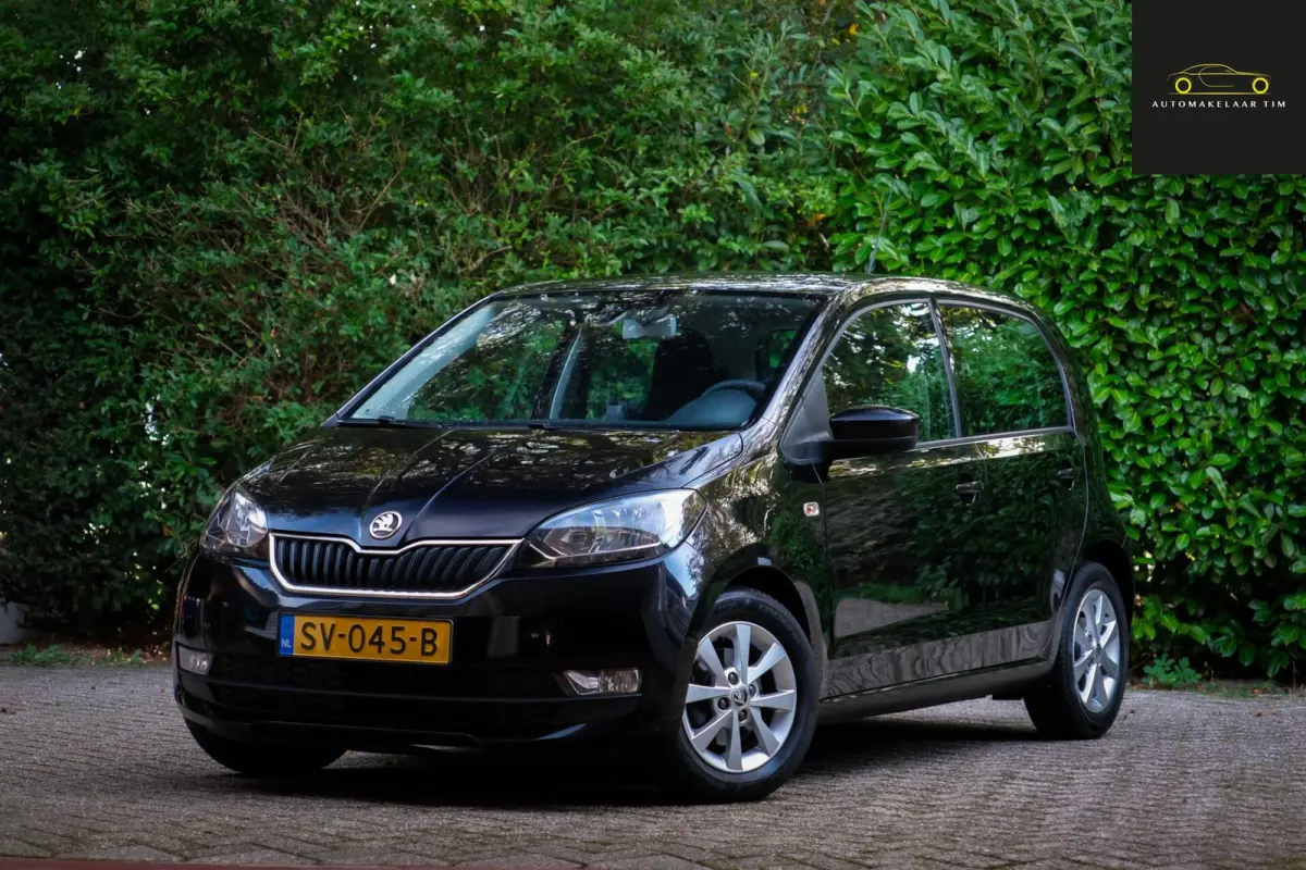 1.0 Greentech Ambition / Cruise / Orig.NL