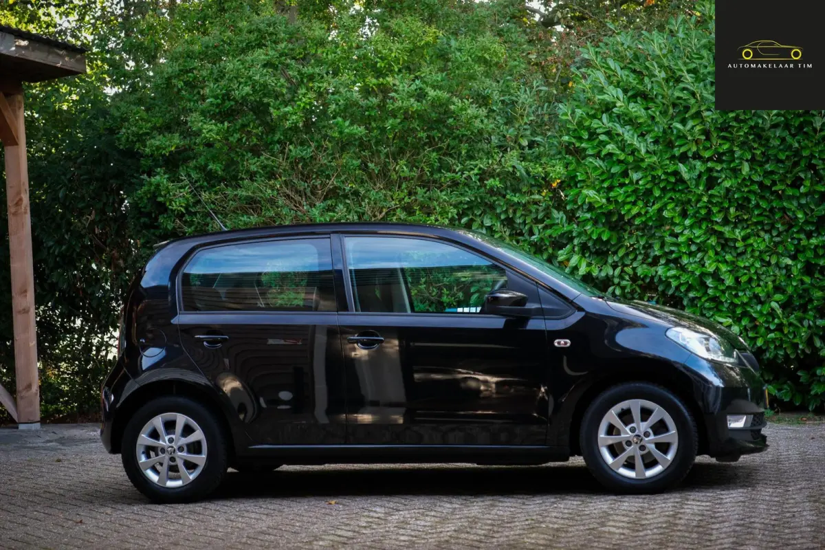 1.0 Greentech Ambition / Cruise / Orig.NL