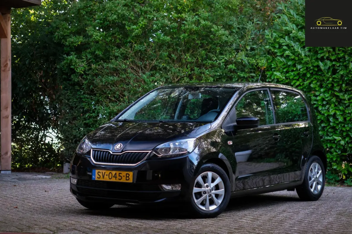 1.0 Greentech Ambition / Cruise / Orig.NL