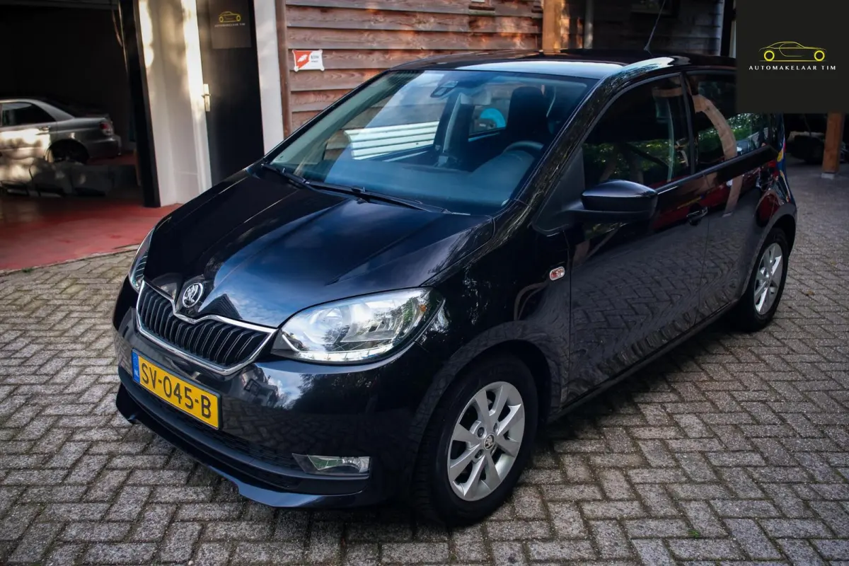 1.0 Greentech Ambition / Cruise / Orig.NL