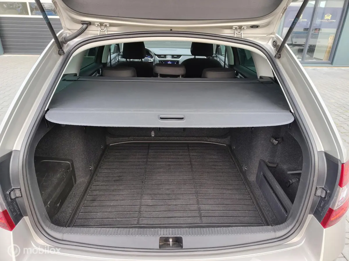 1.0 TSI Greentech Ambition Business