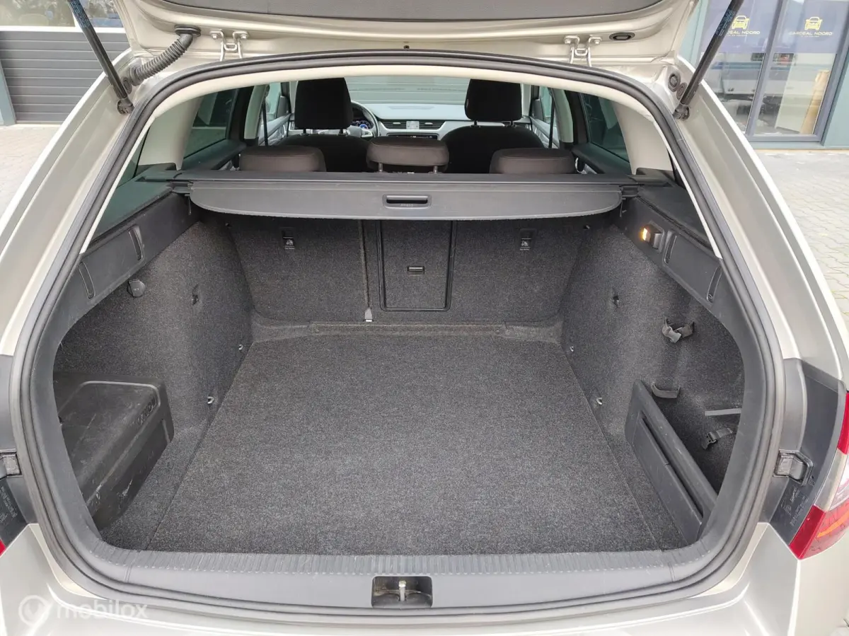1.0 TSI Greentech Ambition Business