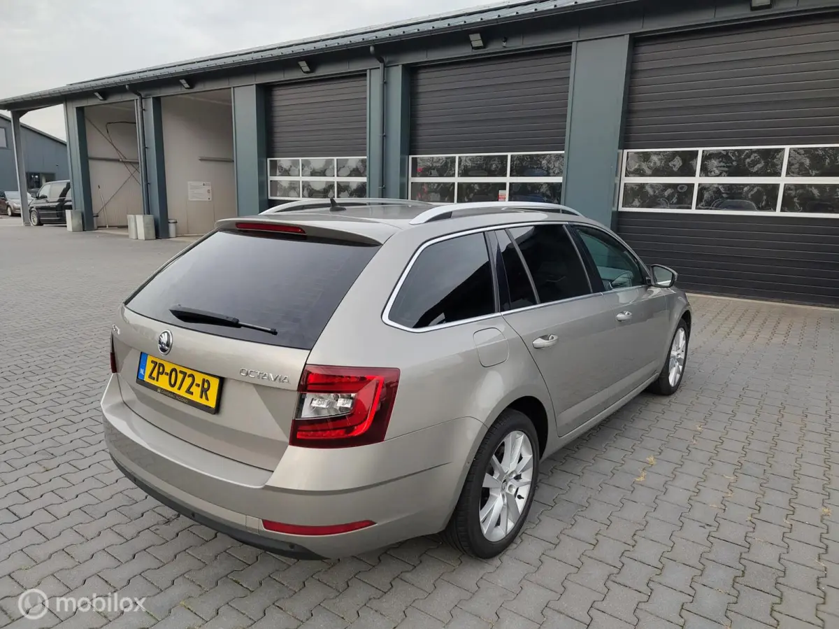 1.0 TSI Greentech Ambition Business