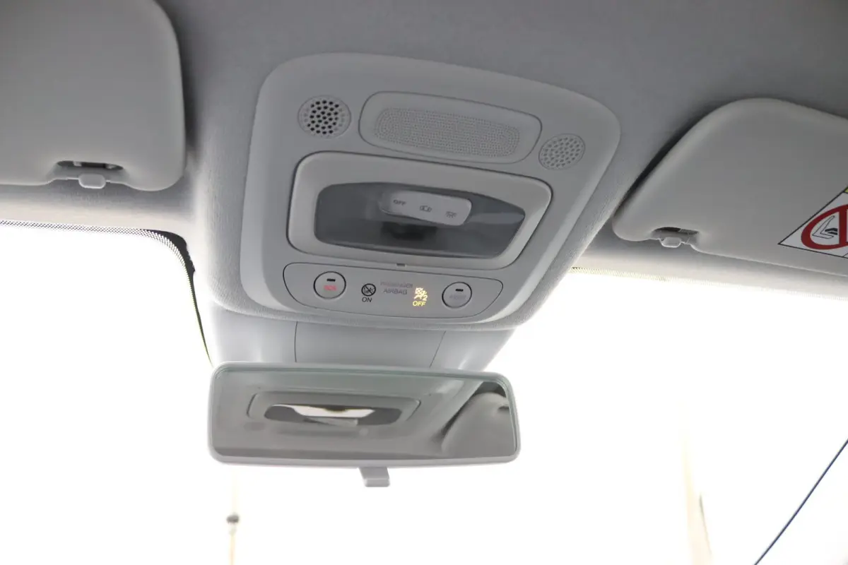Icon 42 kWh | SoH 93,7% | Navigatie | Cruise Control | Digitaal Dashboard | Lichtmetalen Velgen | Climate Control | Bluetooth