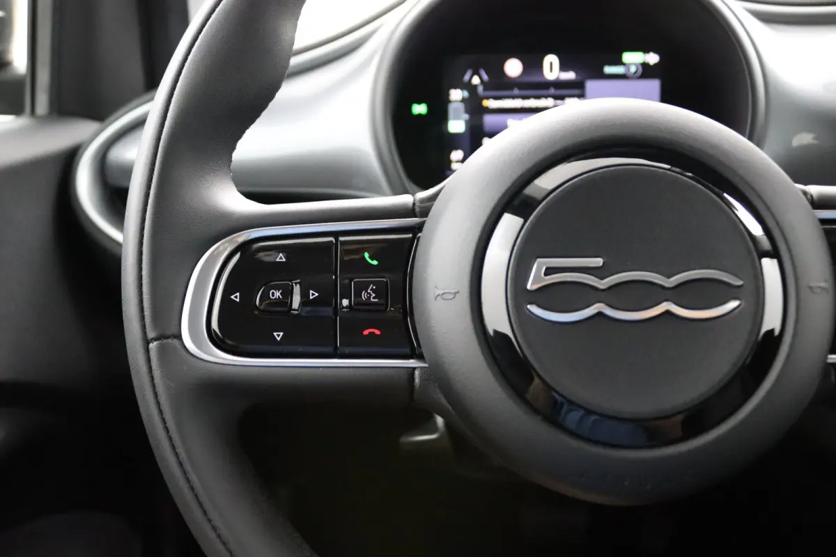 Icon 42 kWh | SoH 93,7% | Navigatie | Cruise Control | Digitaal Dashboard | Lichtmetalen Velgen | Climate Control | Bluetooth