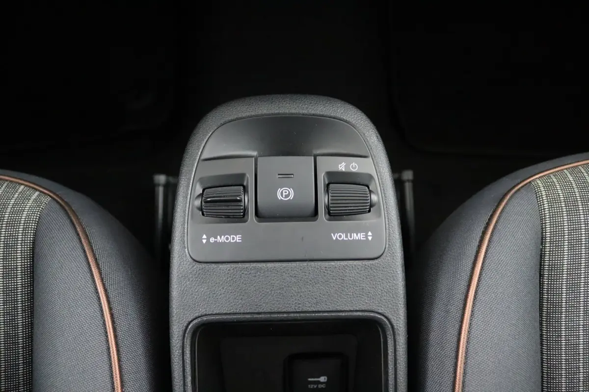 Icon 42 kWh | SoH 93,7% | Navigatie | Cruise Control | Digitaal Dashboard | Lichtmetalen Velgen | Climate Control | Bluetooth