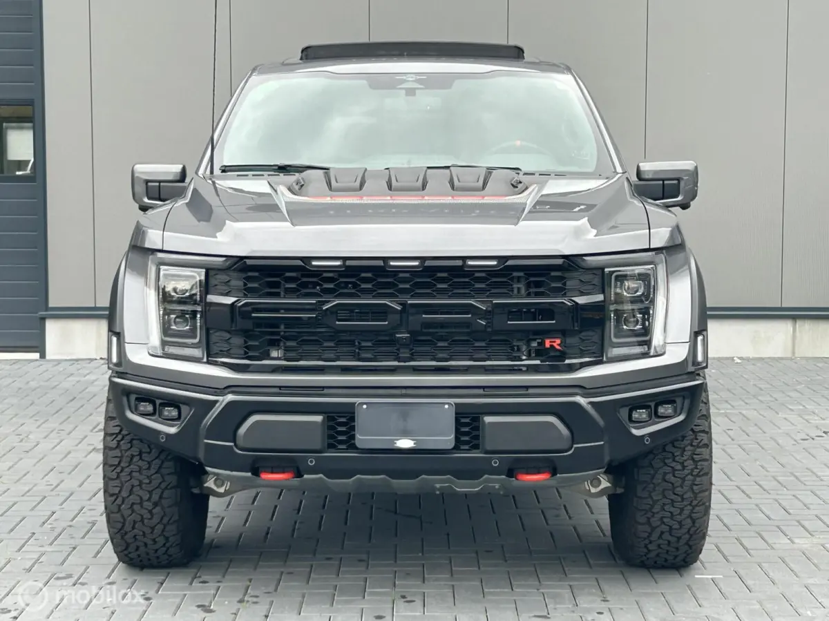 USA Raptor R