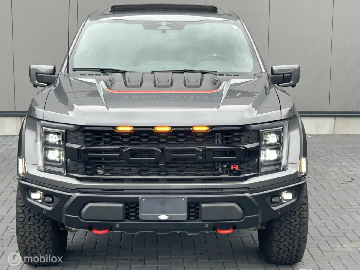 USA Raptor R