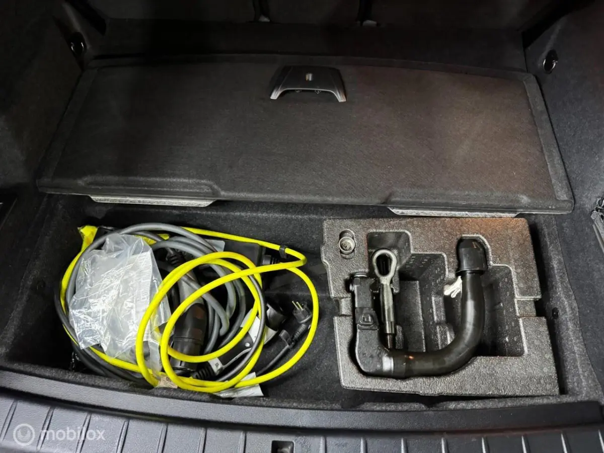 XDrive25e Business Edition Plus NAVI / TREKHAAK
