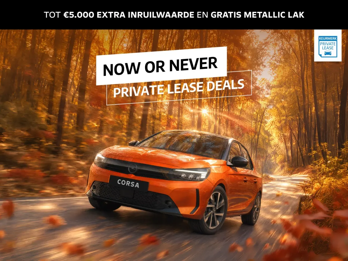 GS €3000,- voorraad voordeel | 17" Lichtmetalen velgen in Zwart met 215/60 R17 banden | Achteruitrijcamera | Dode hoek waarschuwing