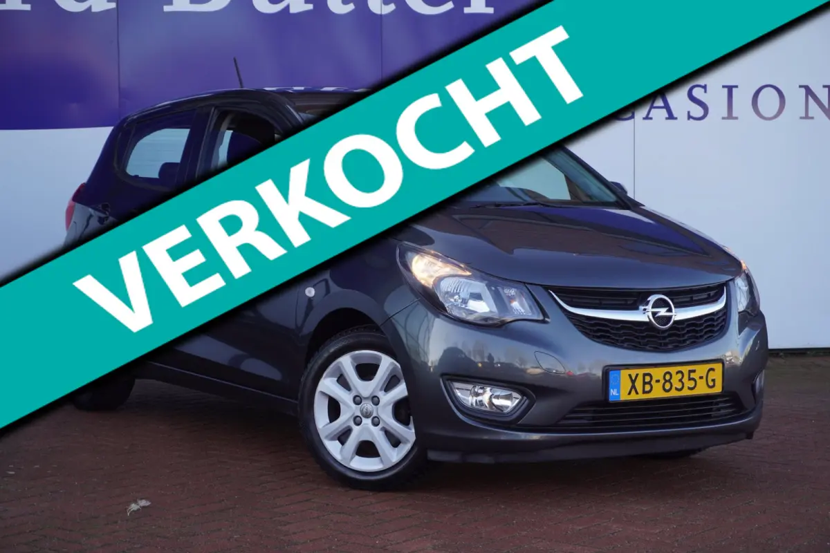 1.0 ecoFLEX Edition / PDC / Cruise / AUTOMAAT / 1EIG / ORIG-NL / = DEALER ONDERHOUDEN !!