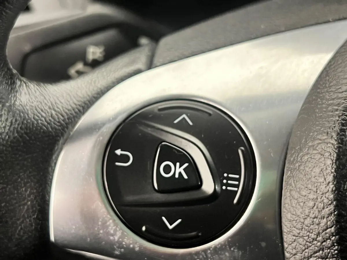 1.5 EcoBlue L2 Trend Automaat Airco Radio Cruise Control Parkeersensoren Achterklep Verwarmbare voorstoelen