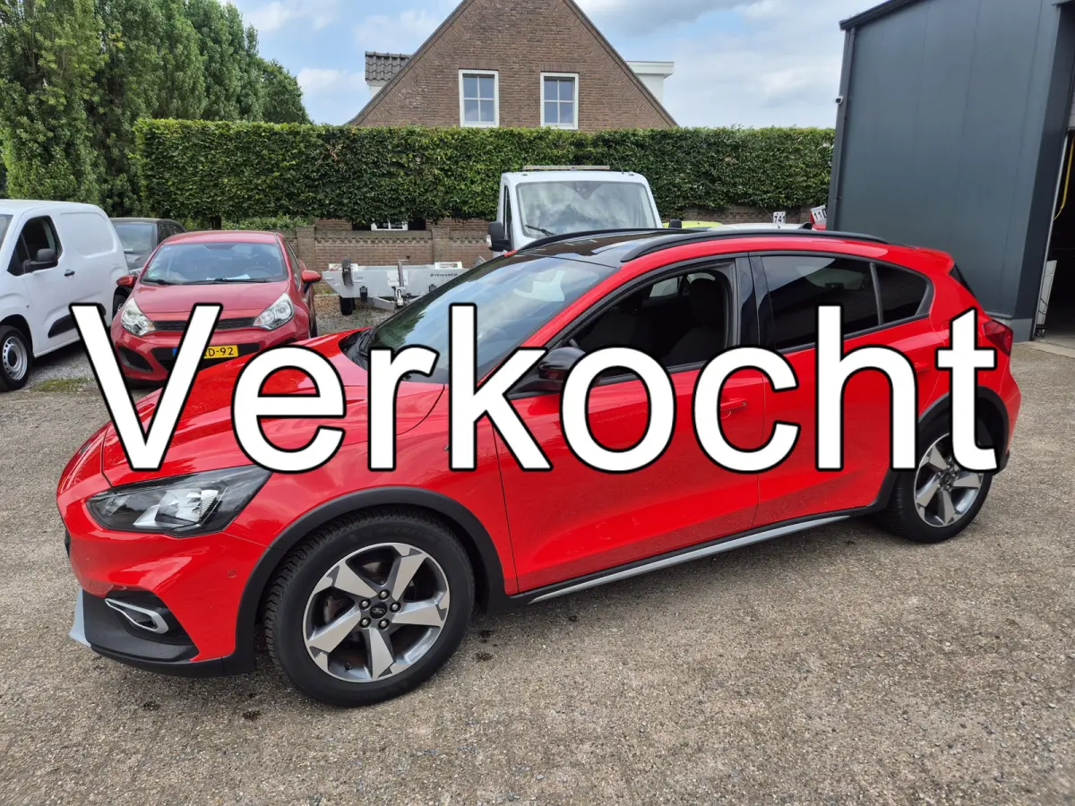 1.0 EcoBoost Hybrid Active X Business Navigatie, ECC, PDC v+a, camera, zwart dak, 17 inch, 155 PK !!