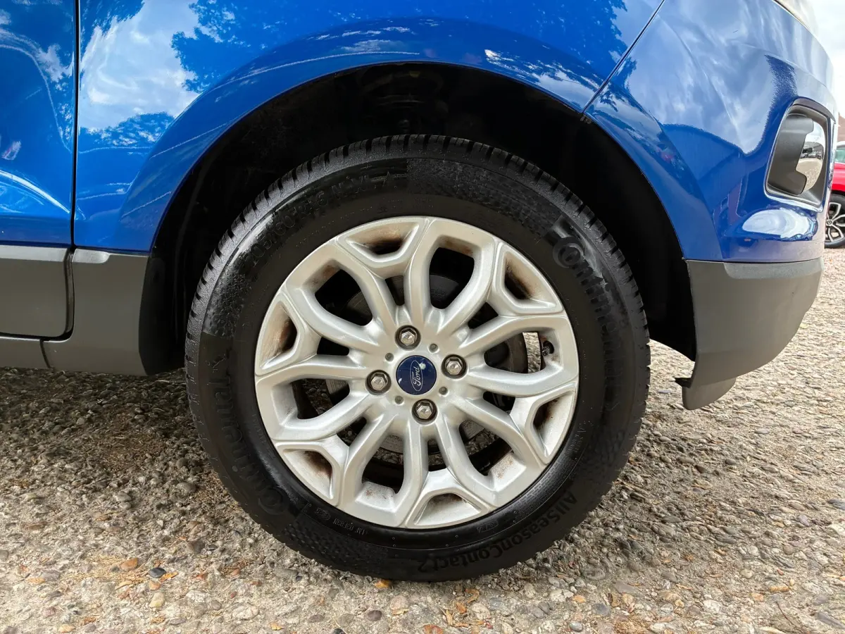 1.0 EcoBoost Titanium | Leder + Clima + Cruise nu €7.450,-!!